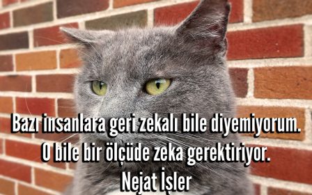 Sinirli Sözler