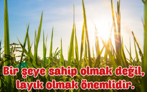 Liyakat ile ilgili Sözler