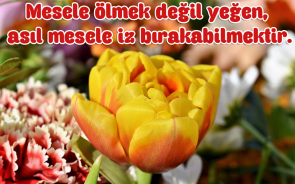 Yeğene Güzel Sözler