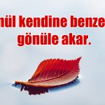 Gönülden Mesajlar