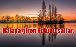 Halay ile ilgili Sözler