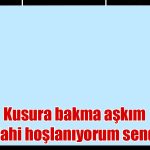 Hoş ile ilgili Mesajlar